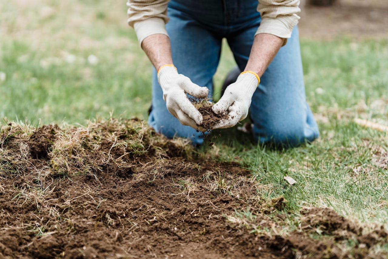 Wanneer voer je onderhoud uit aan je tuin?