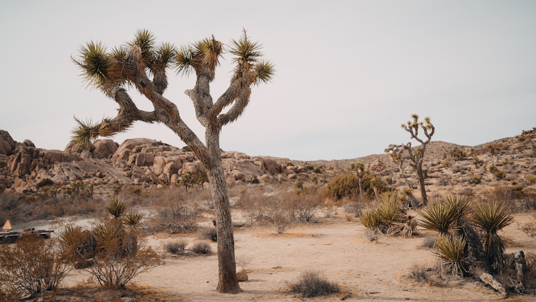 Dit moet je weten over het telefoonnummer +31 10 318 09 41